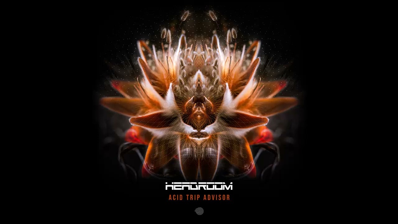 Headroom - Anxiety Society