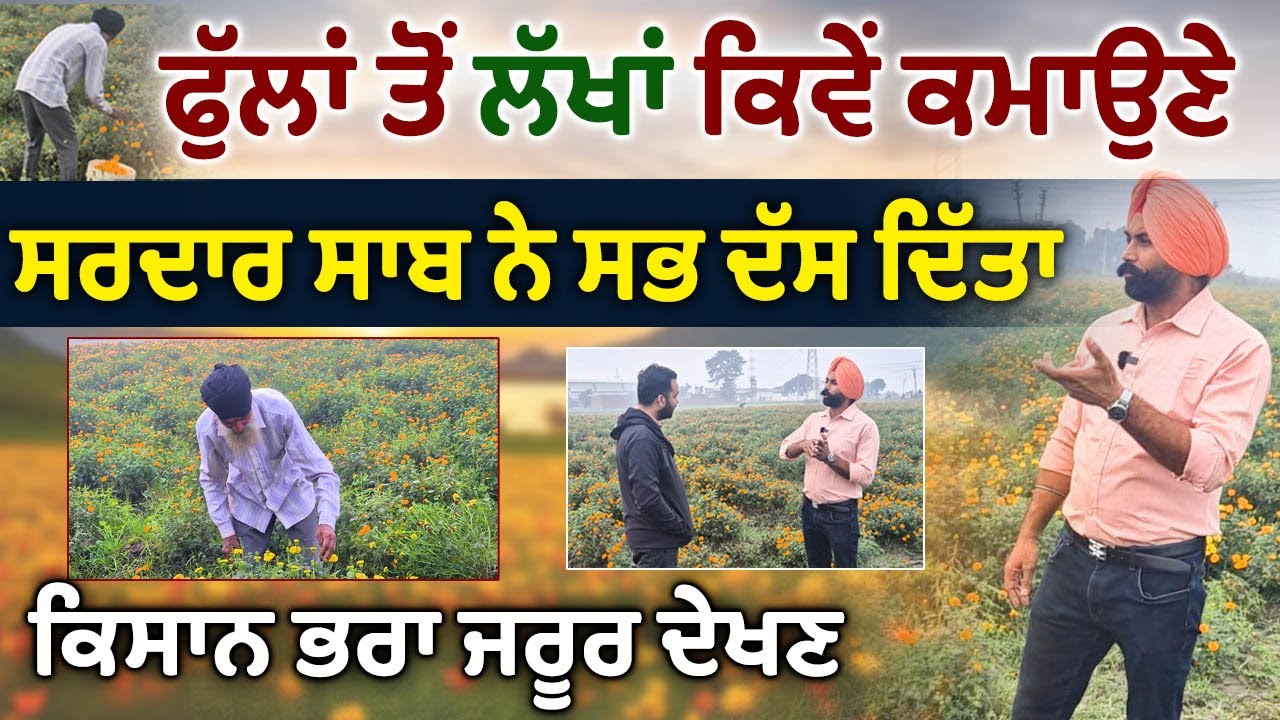Flower Farming Business | ਕਿਵੇਂ ਘੱਟ ਖਰਚੇ 'ਚ ਵੱਧ ਮੁਨਾਫ਼ਾ ਦਿੰਦੇ ਫੁੱਲ ! Important Information