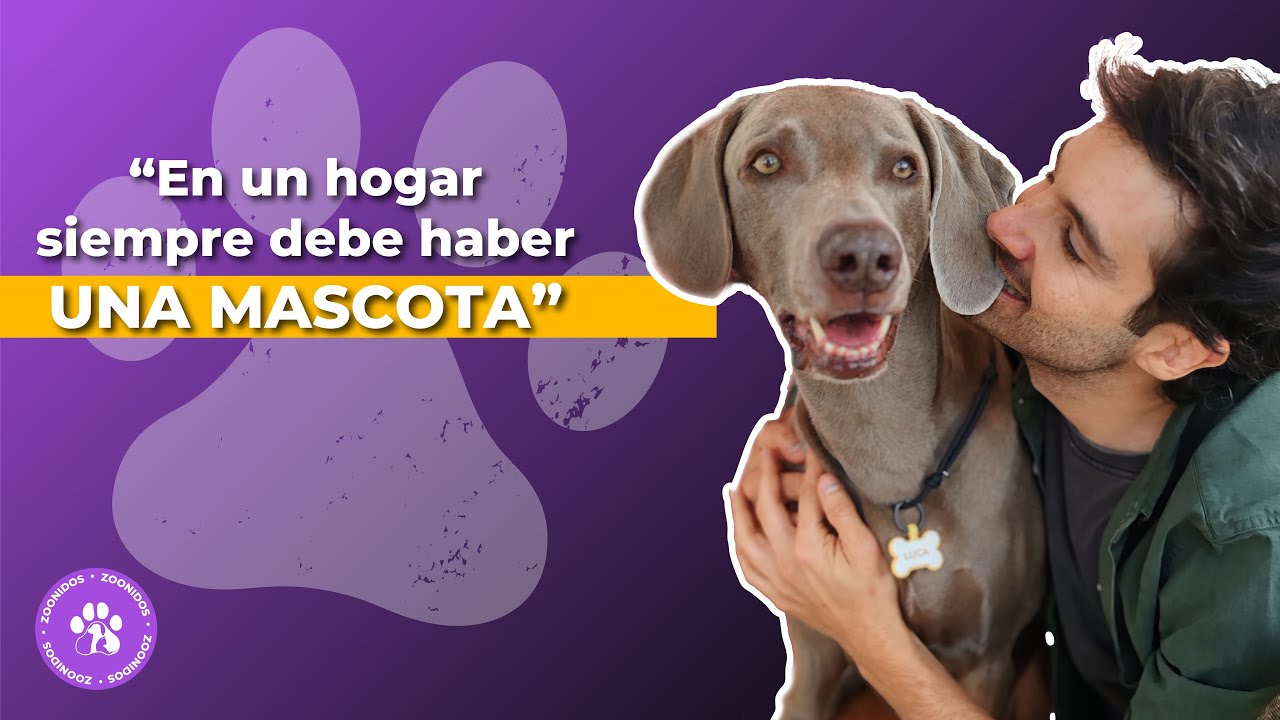 “Mi perro Luca me ayudó a sobrellevar la muerte de mis papás”: José Luis Uribe