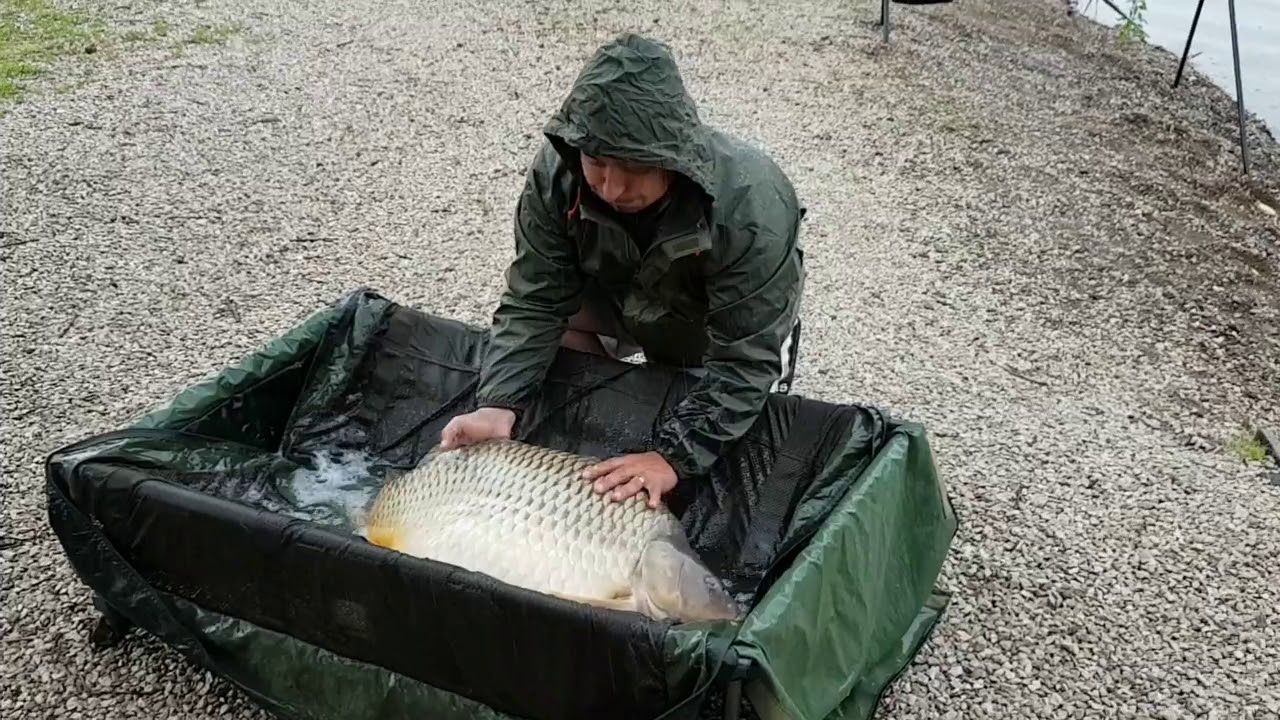 Crap comun (common carp) superb de 25 kg pe Jezero Zabar- Bosnia si Hertegovina