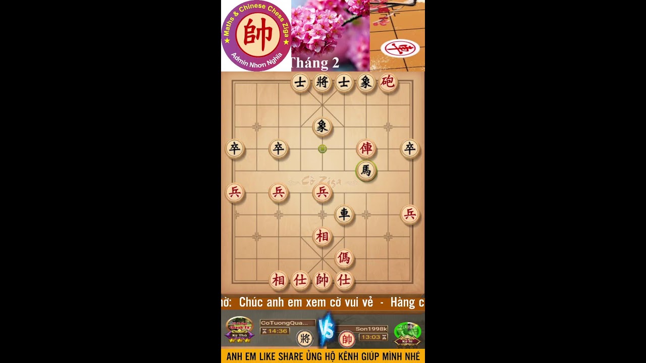 Cùng chơi cờ Ziga trưa ngày 17.02.2026