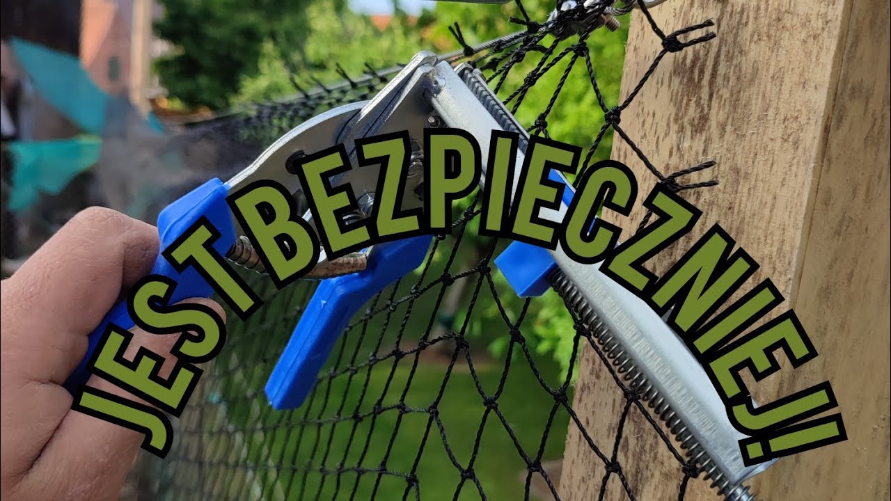 #hodowlakur 🐓🐔| Teraz jest bezpieczniej 🥰| Siatka na wybiegu 🚨