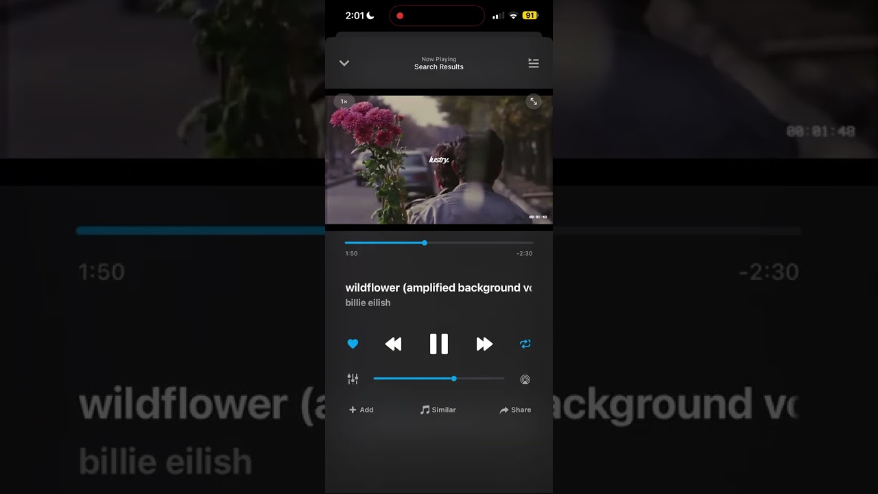 Wildflower 