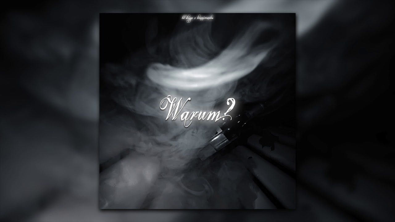 WARUM? - LIL DOGGO (Official Audio)