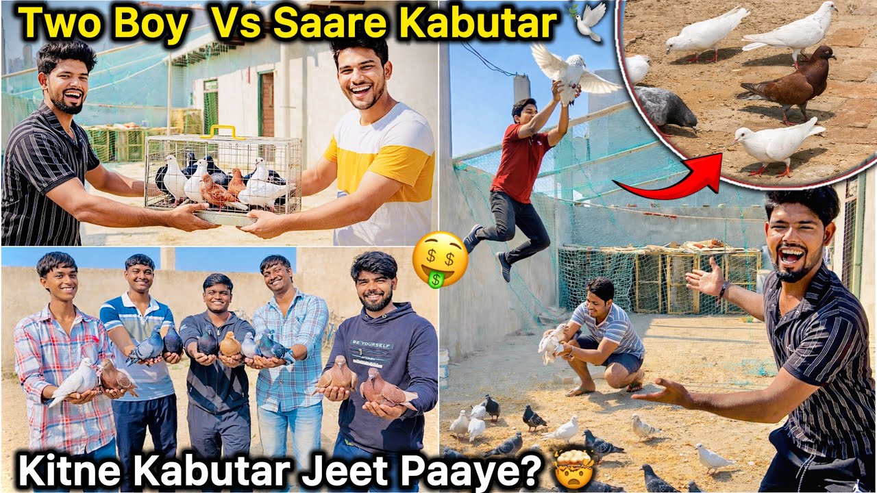 Subscriber Ke Sath Kabutar Pakdo Challenge 😱 || KON JEETEGA? 🏆