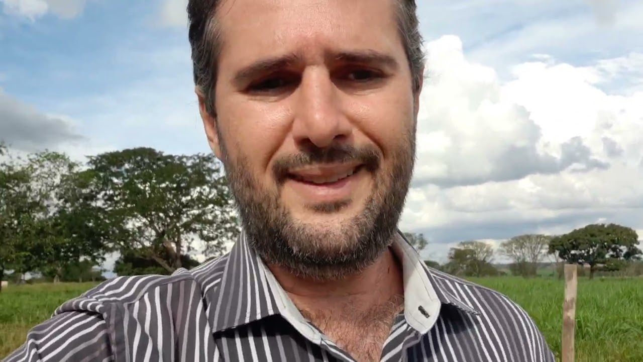 Impugna&ccedil;&atilde;o de laudo pericial