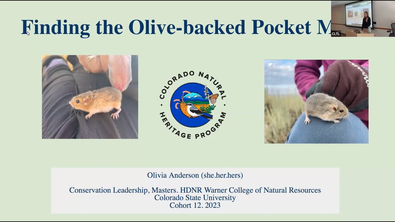 CLTL 12 Capstone Presentation | Olivia Anderson