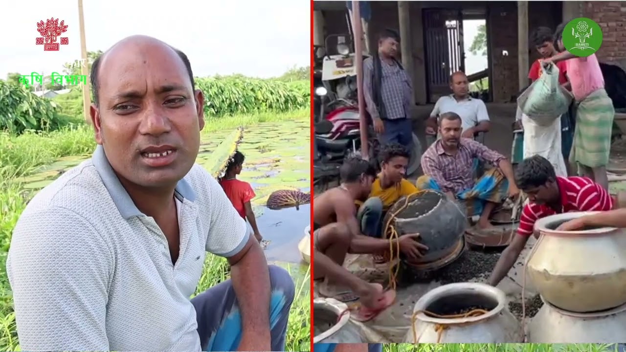 MAKHANA KI KHETI