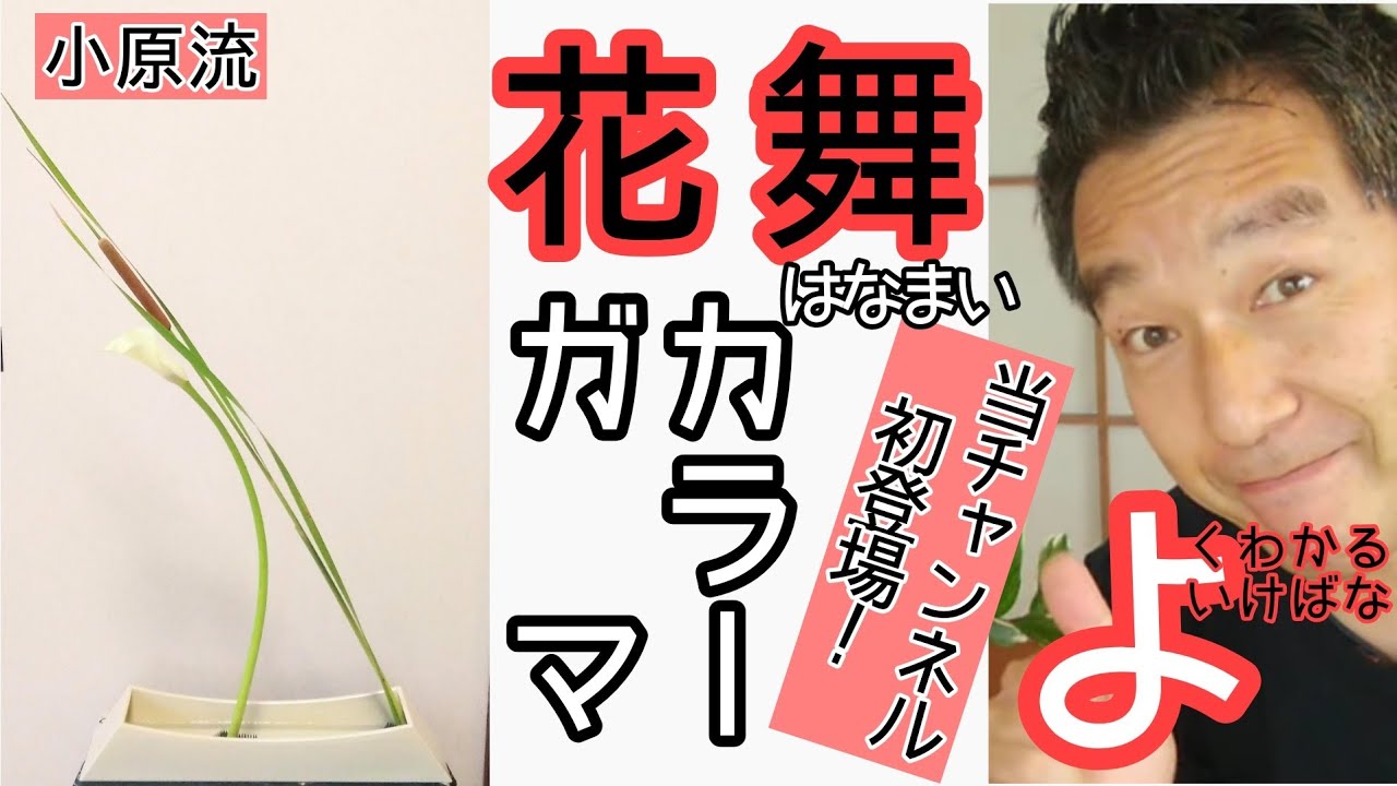 【よくわかる　生け花】いけばな小原流　花舞　はなまい　ガマ　カラー　 始めよういけばな レッスン！