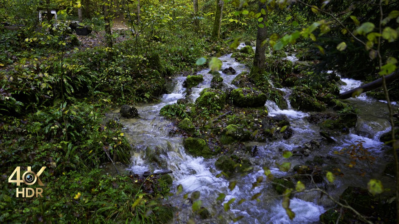 How beautiful is TEUFELSSCHLUCHT (CH) in Autumn? Waterfall Sounds | Sleep, Study, Relax | 4K HDR