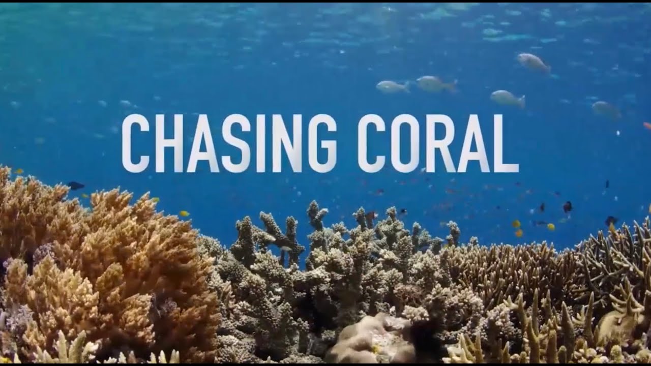 Chasing Coral Trailer