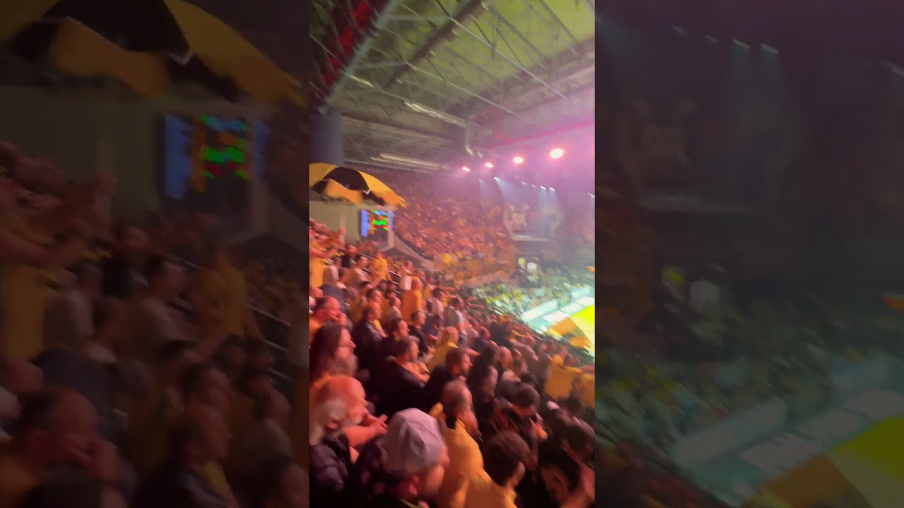 AEK - MALAGA BCL F4 💛🖤💛 #basketball #aek #aekbc #ultras #bcl #f4 #aekfamily