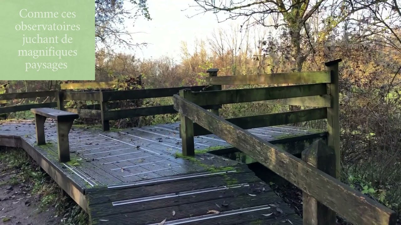 La Gîte à Santes