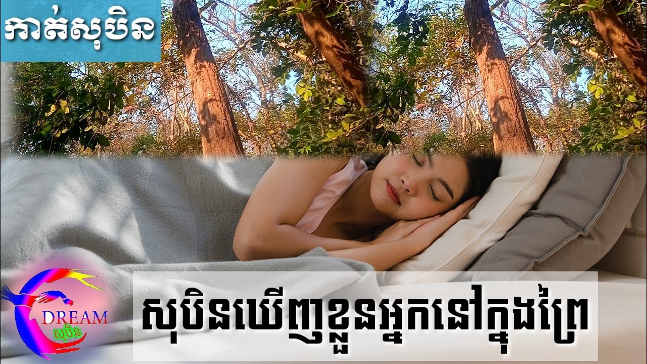 សុបិនឃើញព្រៃ ខ្លួនអ្នកនៅក្នុងព្រៃ-Dream of yourself in the forest