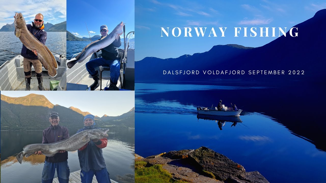Norway Fishing 2022 - Dalsfjord, Angeln bei bestem Wetter