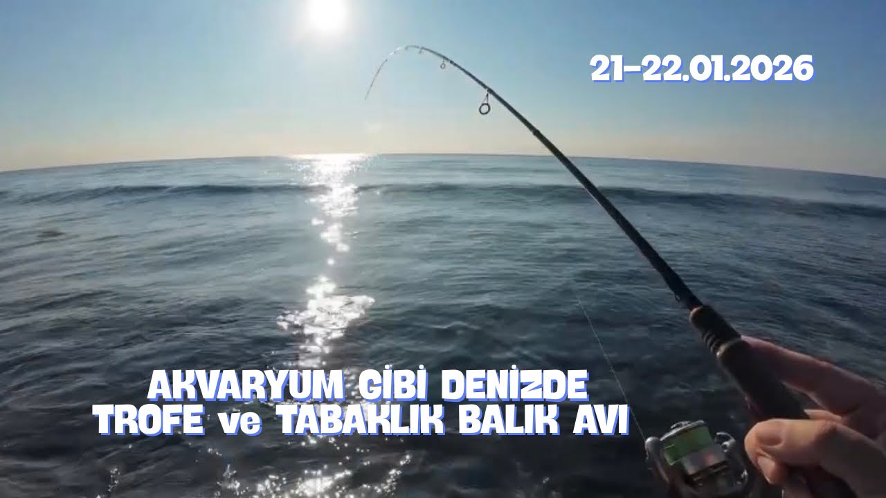 Akvaryum Gibi Denizde Tabaklık ve Trofeli Balık Avı 21-22.01.2026. Mersin. LRF Hanfish Kunduz 