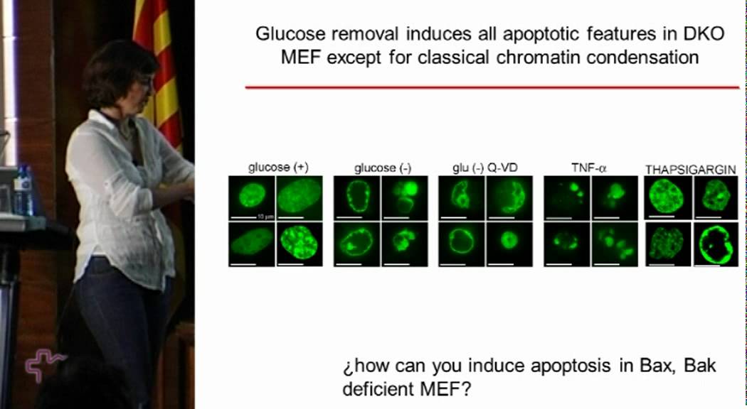 Killing cancer cells by targeting glucose metabolism