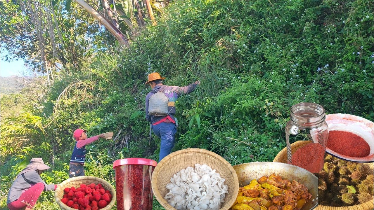 Picking up wild raspberries for jam + Wild Mushroom | Making powdered atsuete for Chicken Adobo 