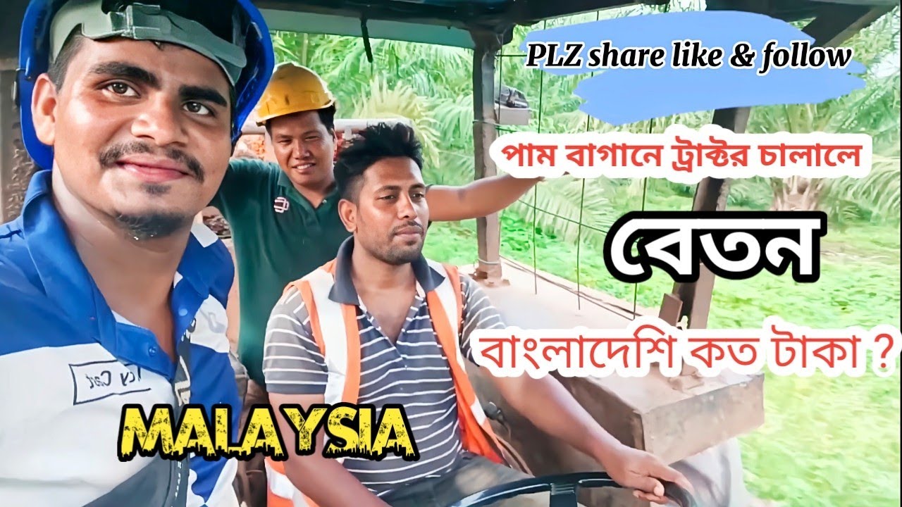 মালয়েশিয়া পাম বাগানে ট্রাক্টর চালালে বাংলাদেশি কত টাকা বেতন/৬০ থেকে ৭০ হাজার ?