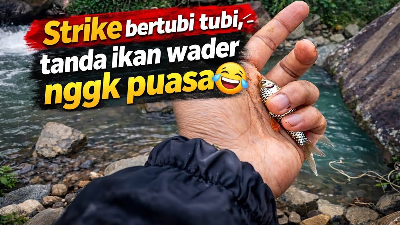 Strike Bertubi-tubi! Mancing Ikan Wader di Bulan Puasa Auto Ketagihan! 🔥