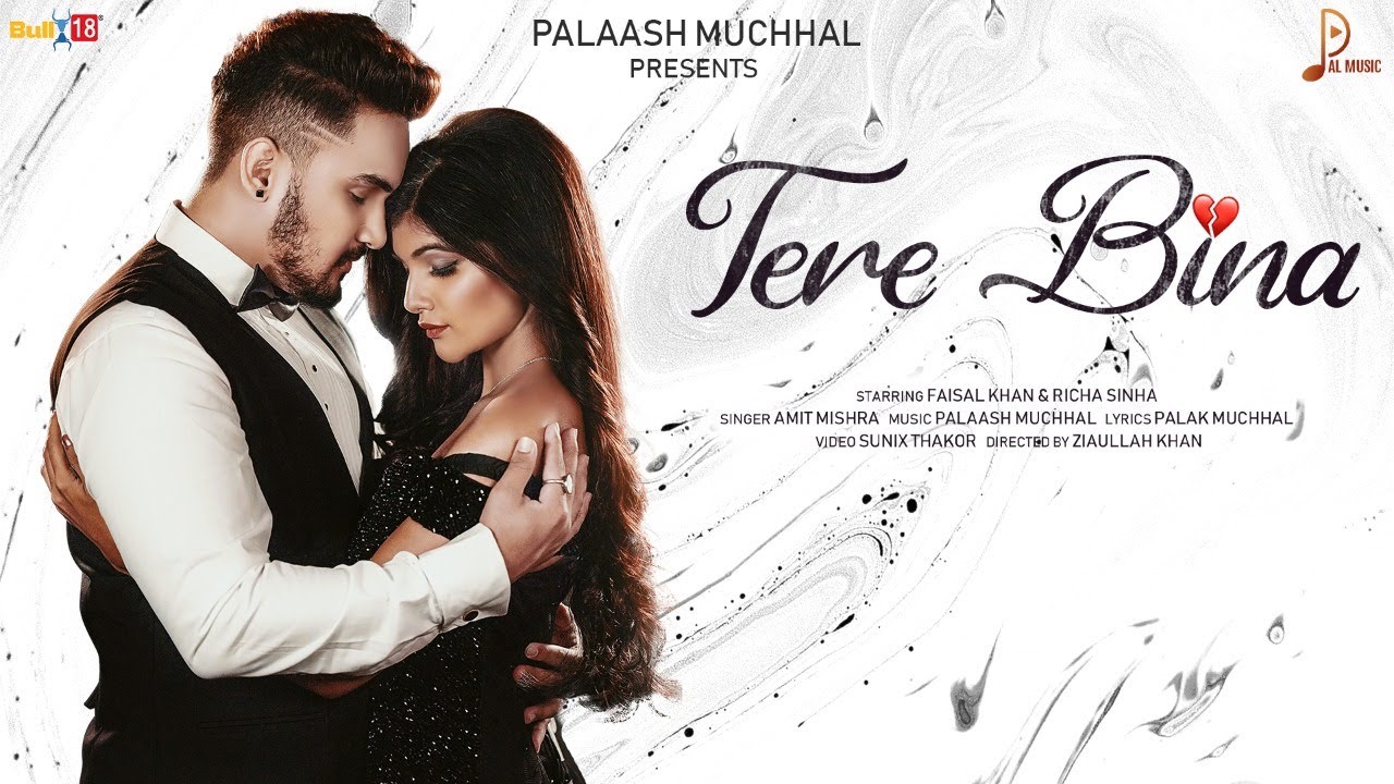Tere Bina (Official Video) Amit Mishra ft. Faisal Khan & Richa Sinha | Palaash Muchhal | Pal Music