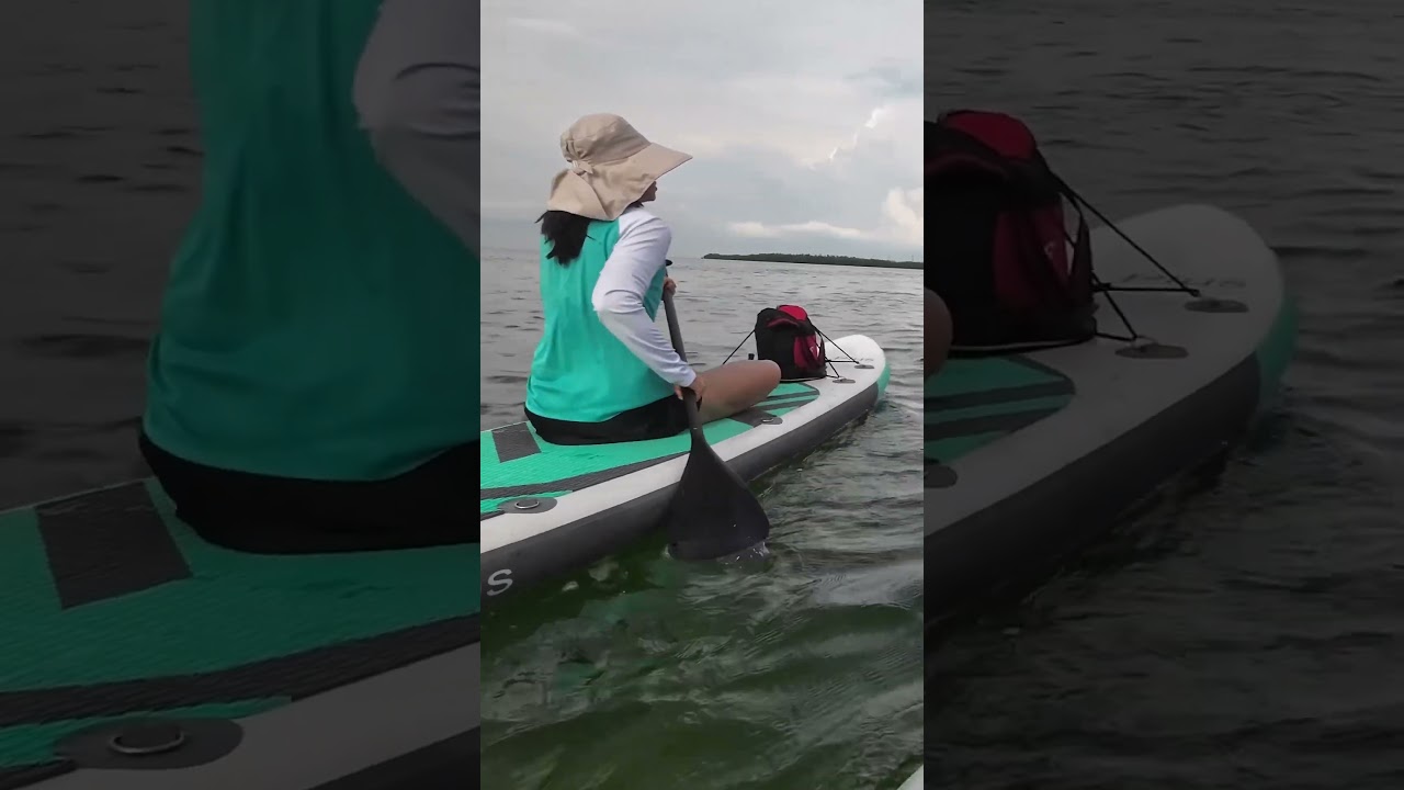 Paddle boarding to ￼Conch Key! #paddleboard #floridakeys #keywest