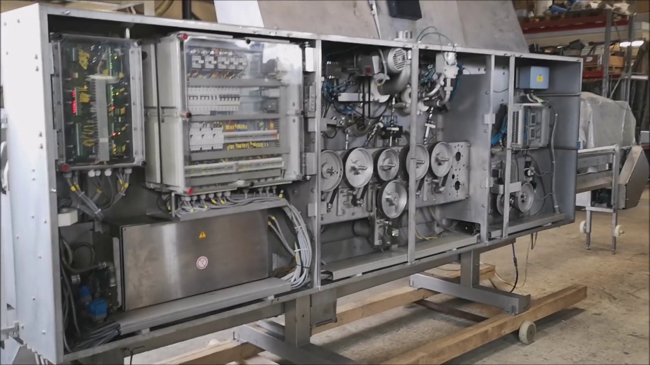Baader 142 Gutting machine for Salmon