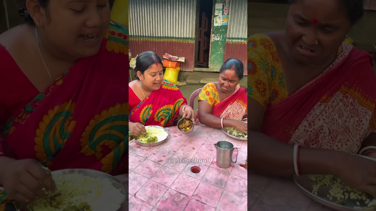 খাবার একসাথে বসি খাবার দিবে না শাশুড়ি মা || goriber bou