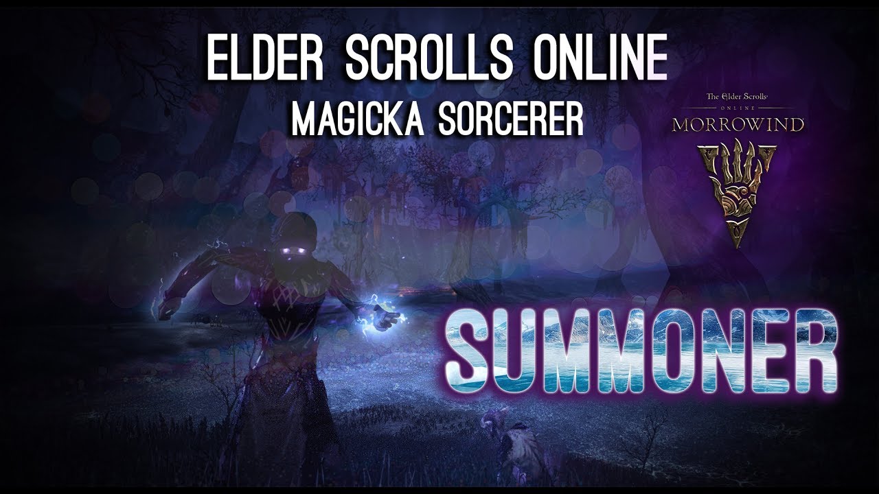 Magicka Sorcerer Pet Build 