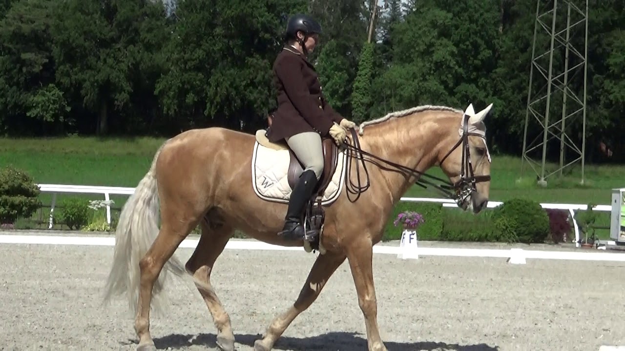 Katja Weis mit Viking de Massa M22, 15. Juni 2019 Grüningen, 67.34%