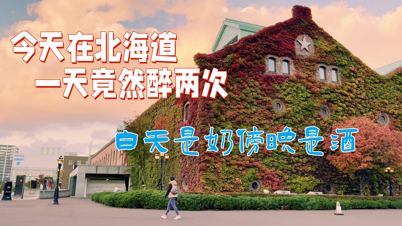 北海道大学的秋色｜乳脂率4.34的北大牛乳｜银杏大道｜札幌啤酒博物馆品酒