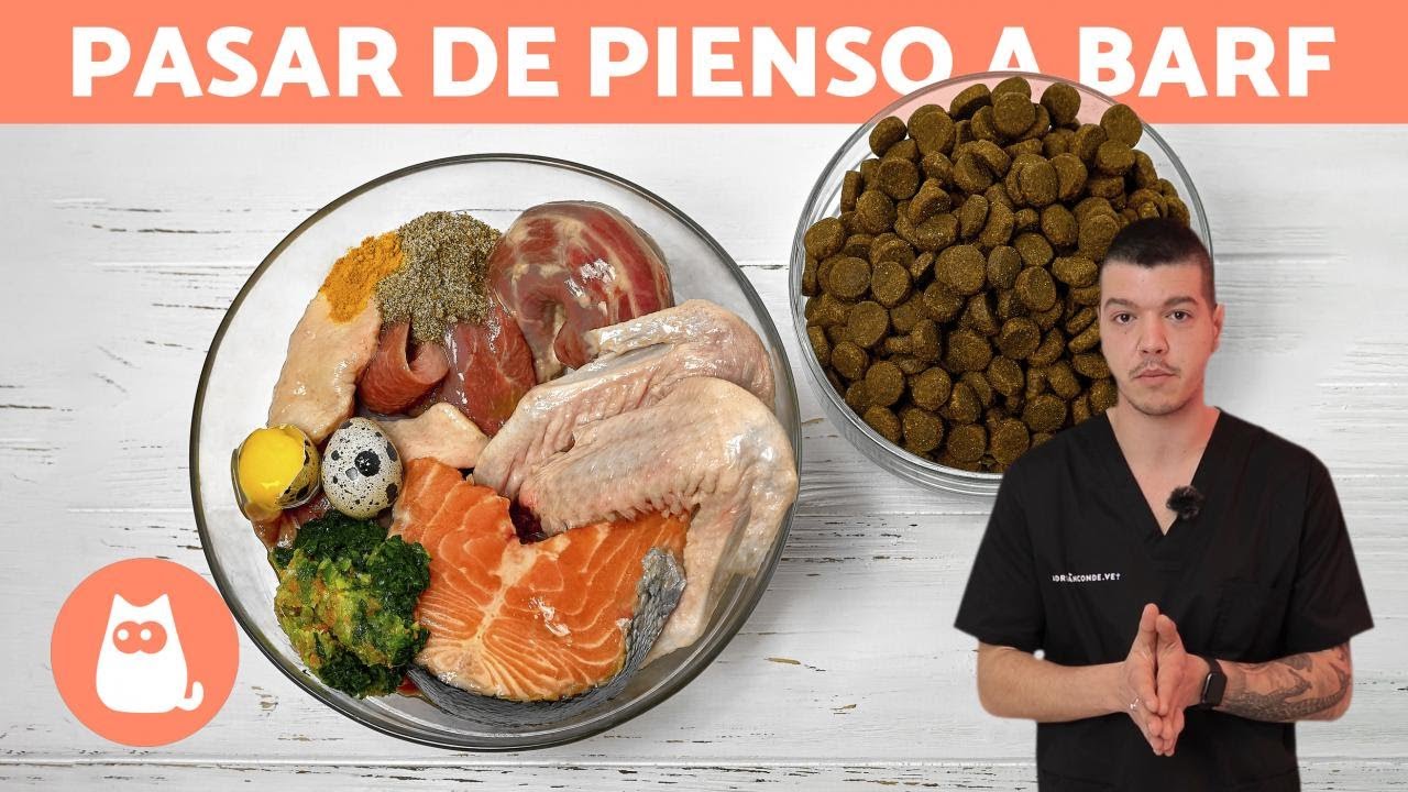 C&oacute;mo EMPEZAR la DIETA BARF con tu PERRO 🥩✅ (3 Formas)