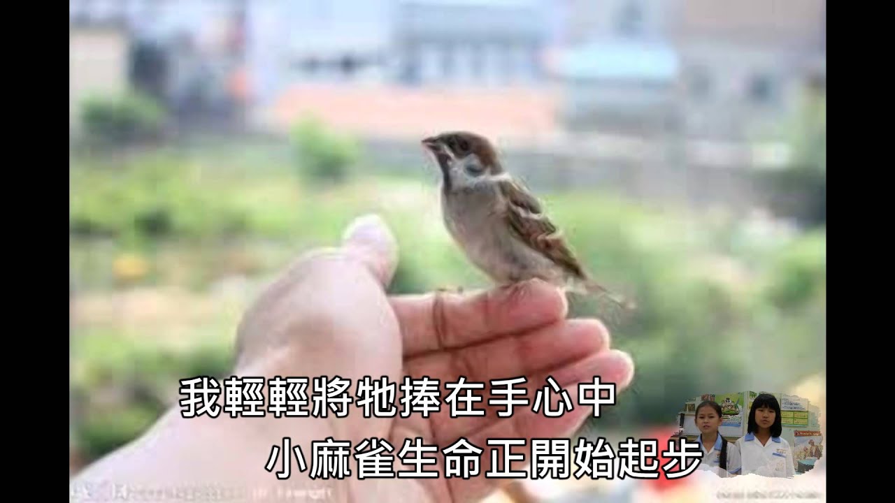富安國小68屆畢業影片系列─送你這對翅膀