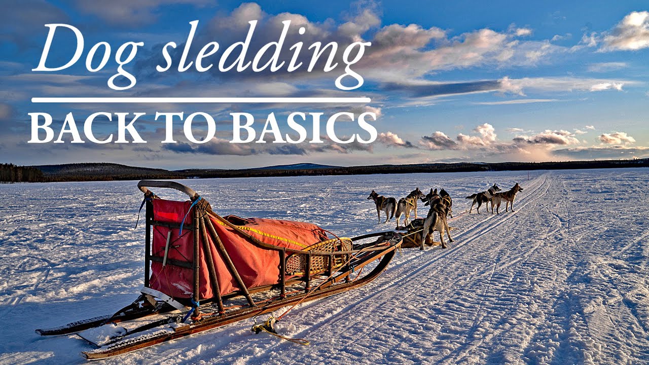 Dog Sledding BACK TO BASICS