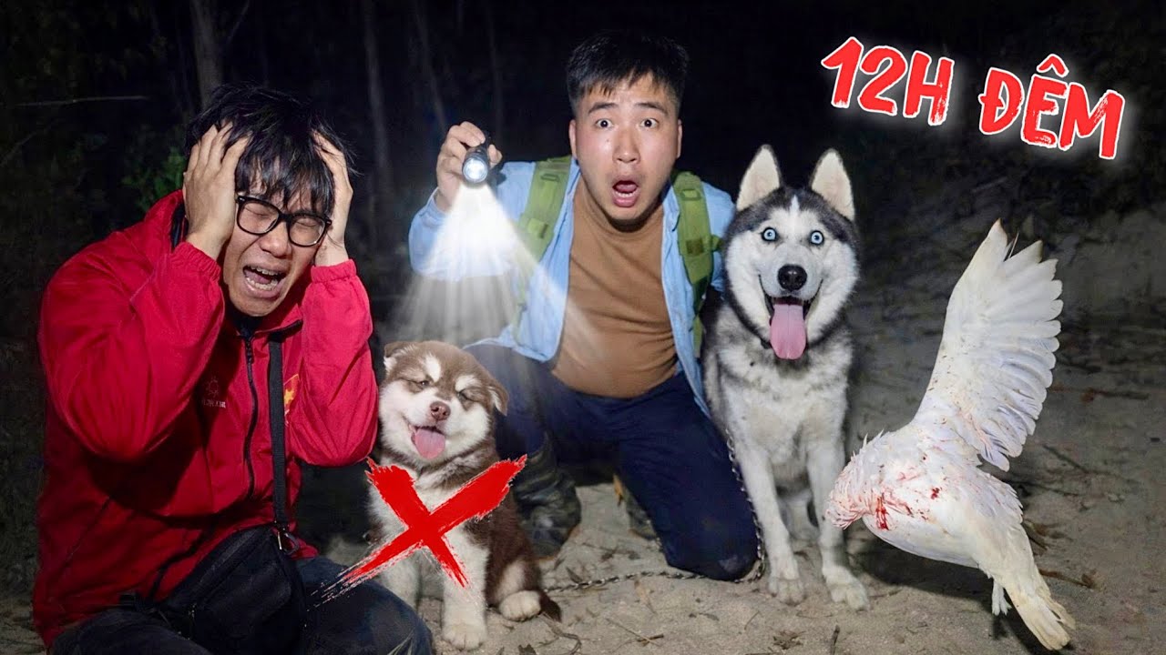 Gấu Alaska Của Dương KC Mất Tích Trong Rừng Đêm | Cả Nhóm Suýt Mất M.ạng Khi Đi Tìm