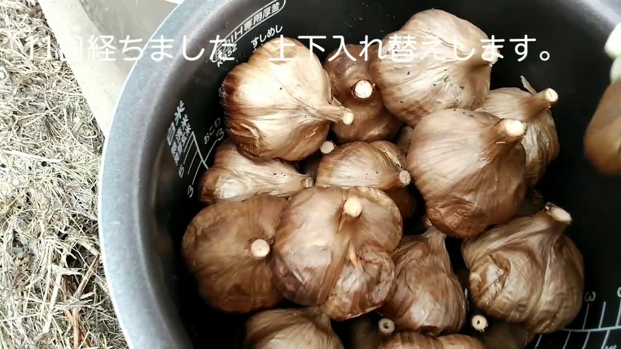 【青森県産黒ニンニク】美味しい黒ニンニク作り方のコツ🉐