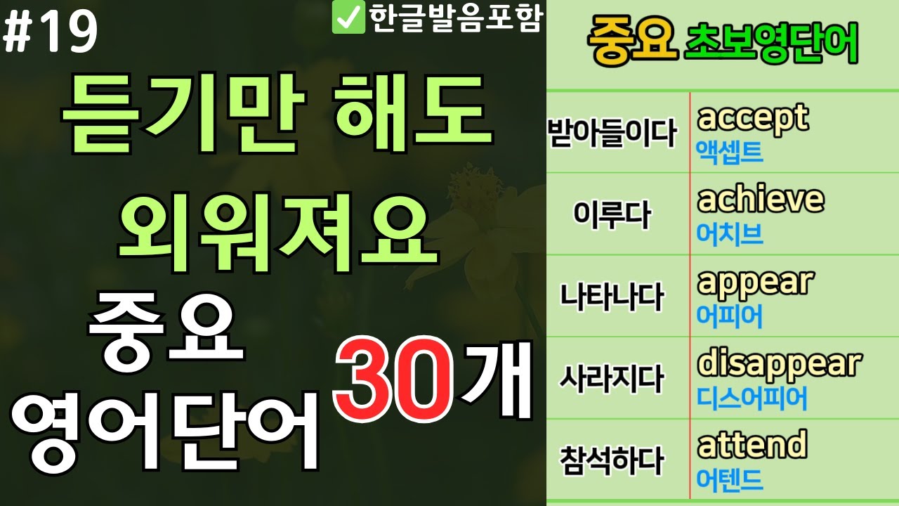 초보 영단어 30개 | 듣기만 해도 외워져요