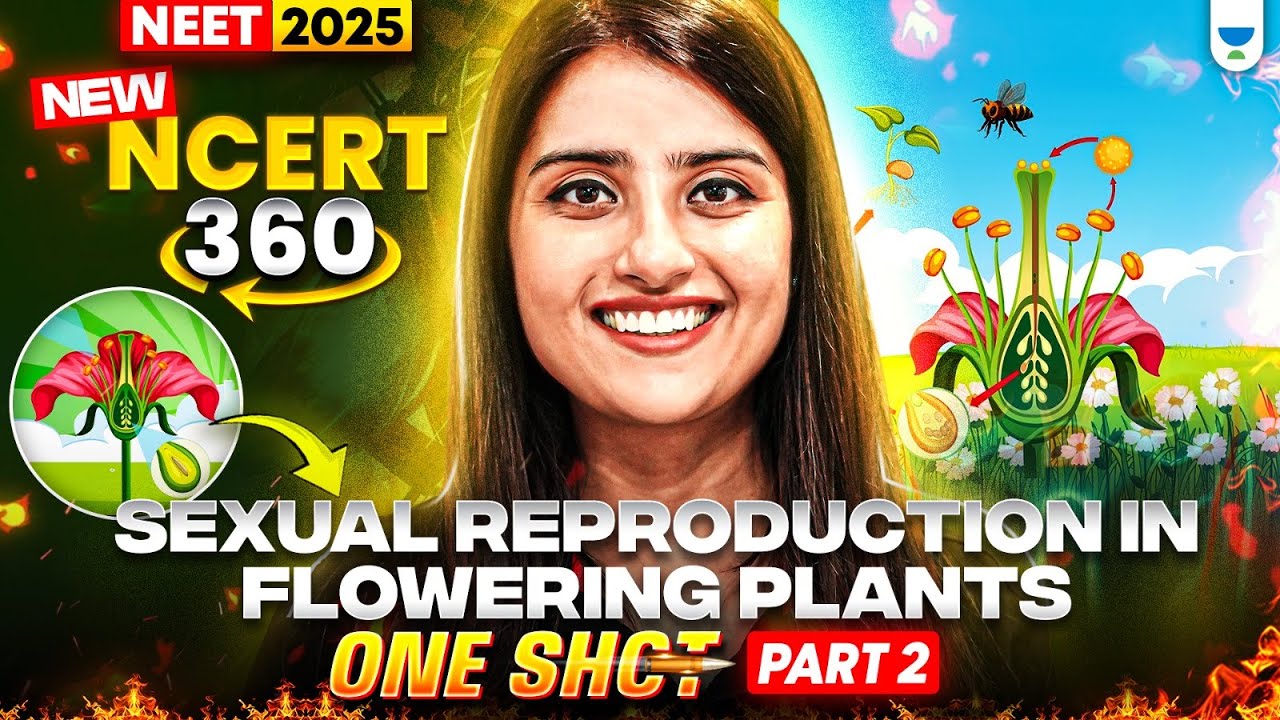 NEET 2025 Biology: Sexual Reproduction in Flowering Plants 3D | NCERT 360° Word-by-Word| Seep Pahuja