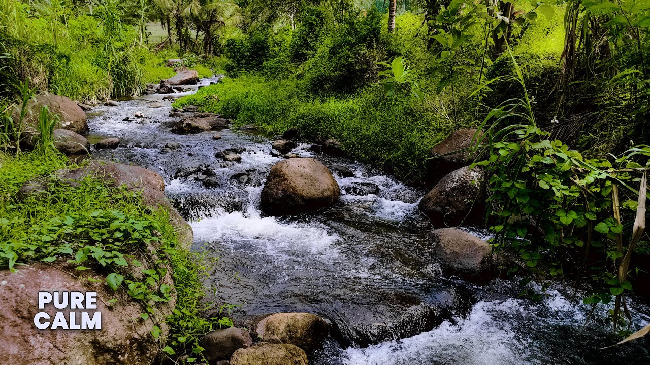 Restful Sleep Aid River | Experience the Whispering Water Sounds in a Soothing Endless River ASMR