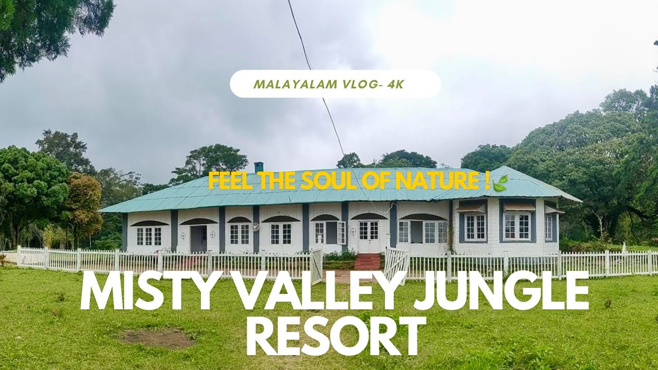 Best forest stay in Kerala | Part-2 | Misty Valley Resort | 4K | British Bangalow | Neliyampathy |