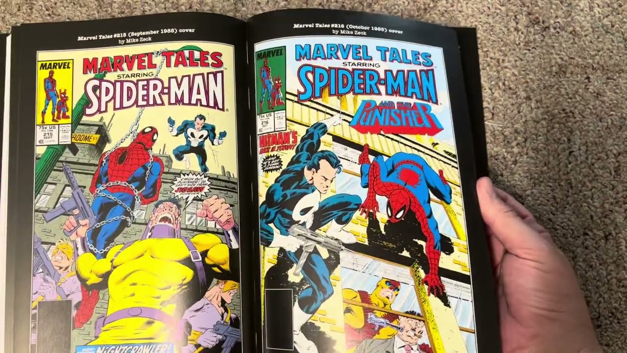 The Punisher Back to the War omnibus
