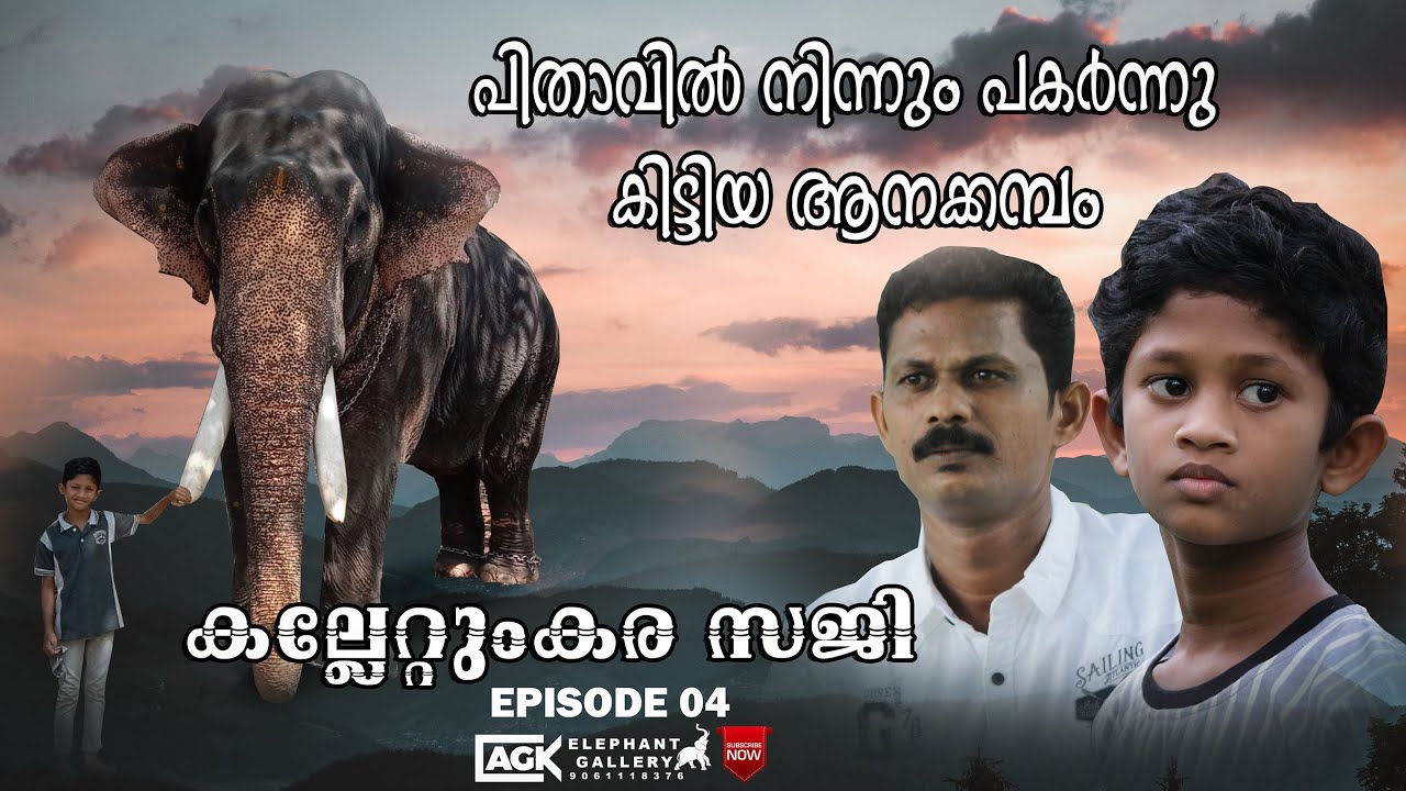ആന വിശേഷങ്ങൾക്ക് ഒപ്പം കുറച്ചു വീട്ടുവിശേഷങ്ങൾ |കല്ലേറ്റുംകര സജി| EPISODE 04
