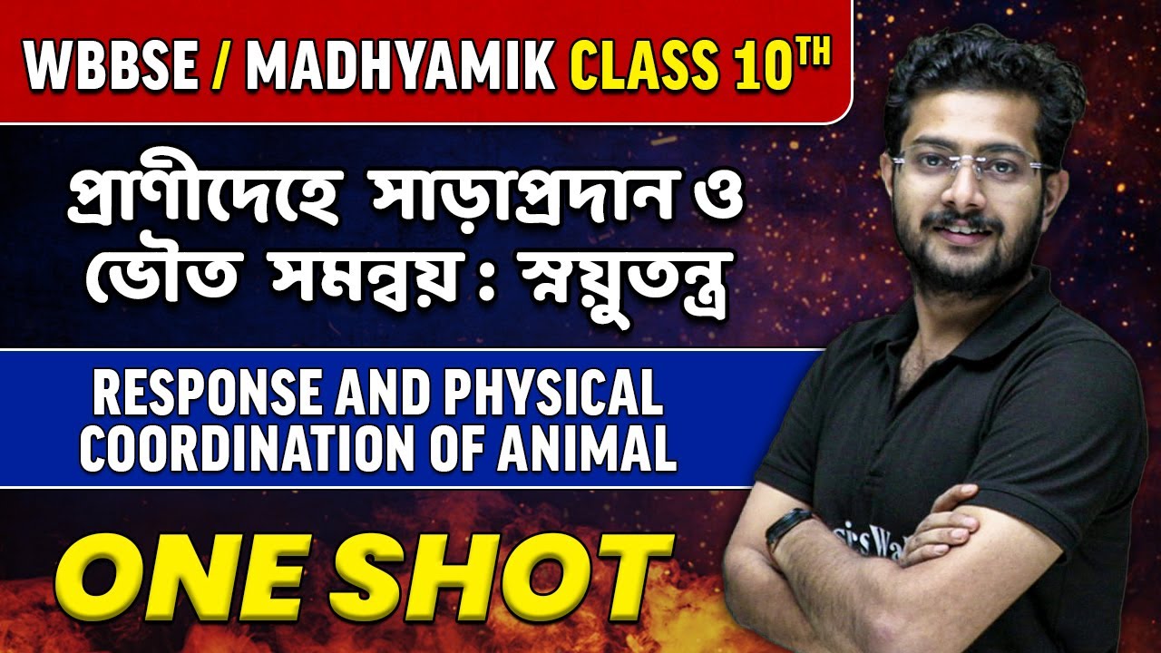 প্রাণীদেহে সাড়াপ্রদান ও ভৌত সমন্বয় : স্নয়ুতন্ত্র in One Shot | WBBSE/ Madhyamik