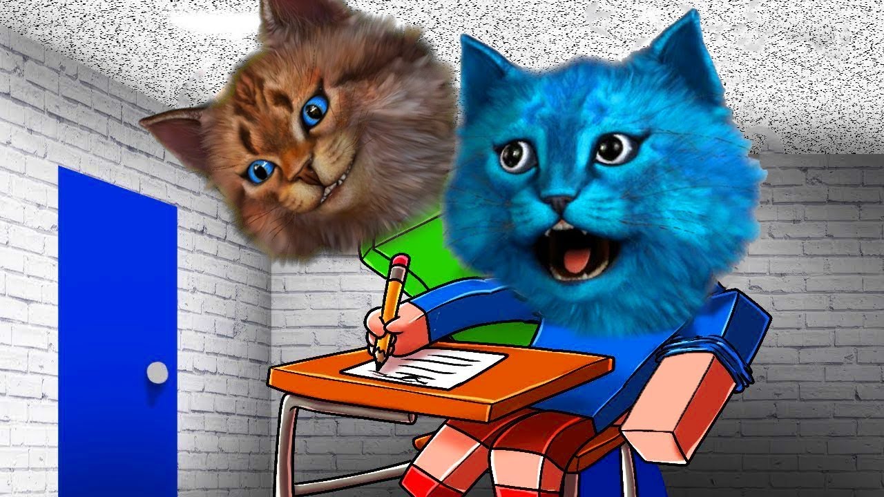 Я СТАЛ БАЛДИ! КОТЁНОК ЛАЙК ПОПАЛ В МОЙ КЛАСС