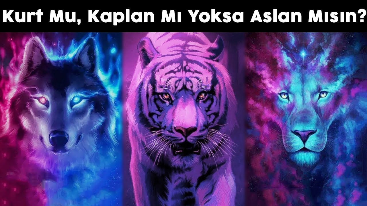 Kurt Mu, Kaplan Mı Yoksa Aslan Mısın? Hangin Hayvan Kişiliğine Daha Uygun?