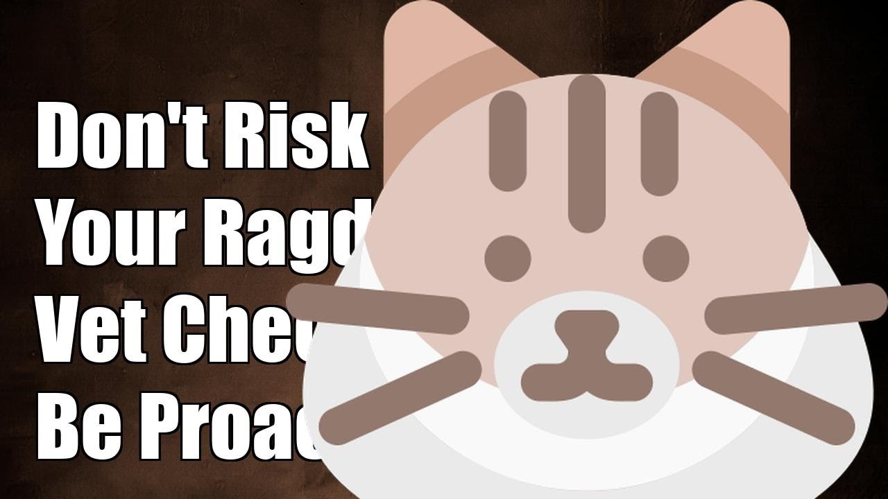 Don't Risk Your Ragdoll's Health: Essential Vet Check-Up Schedule Revealed!