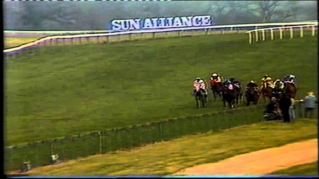 1984 Champion Chase Cheltenham Badsworth Boy
