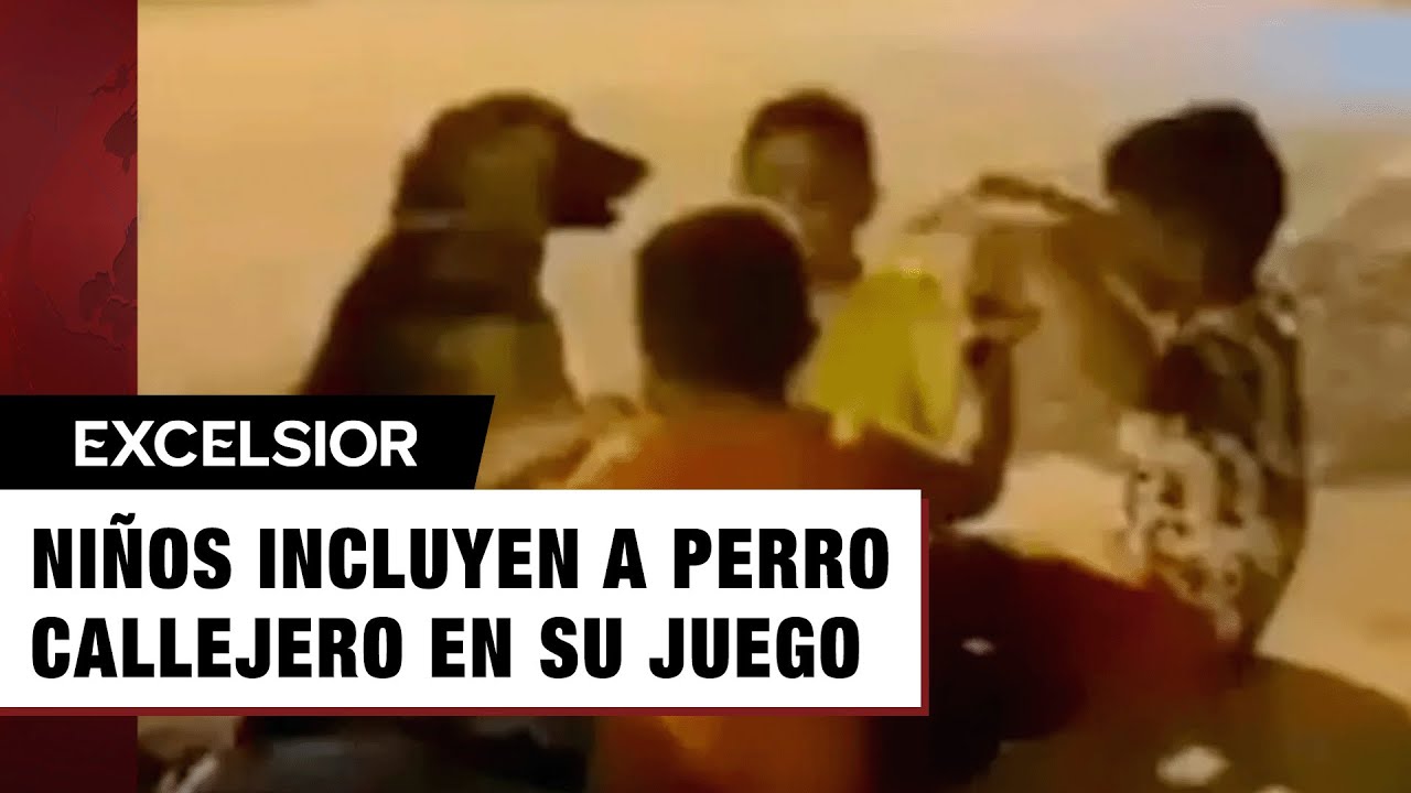 Niños incluyen a perro callejero en su juego y enternecen las redes