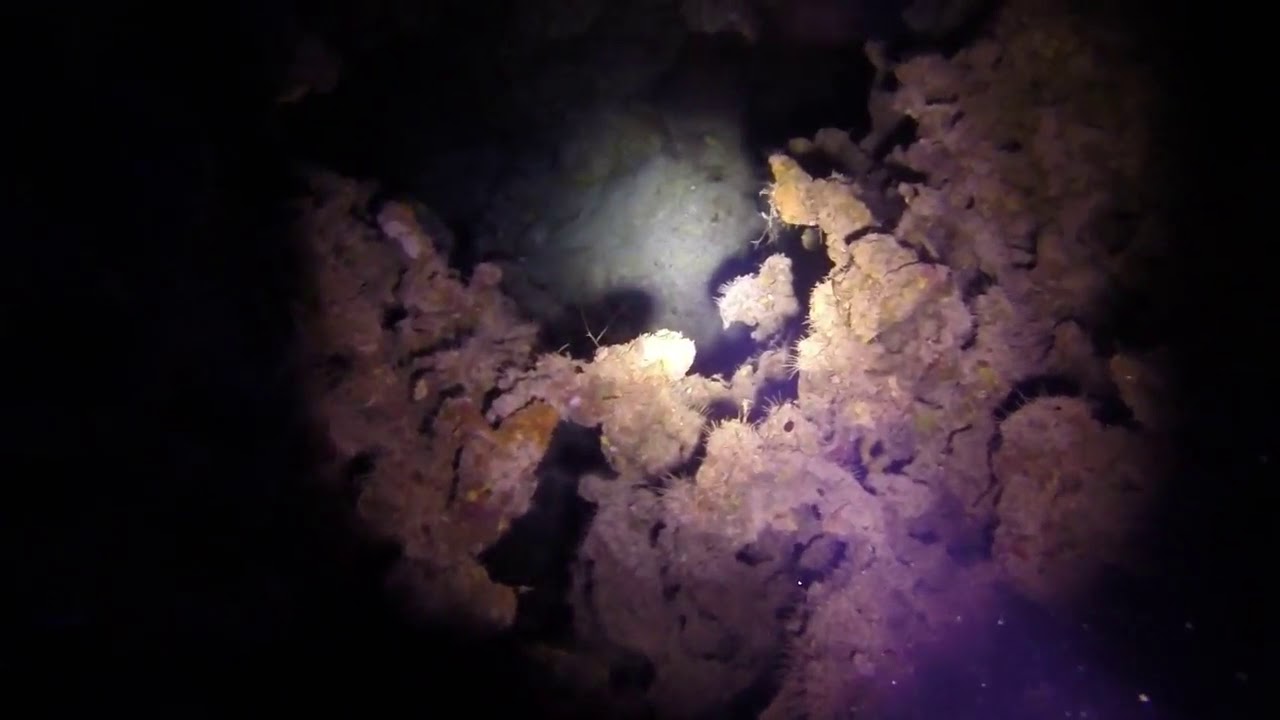 Blue hole Arch Dahab Red Sea  dive august 2018 740 3rd cut