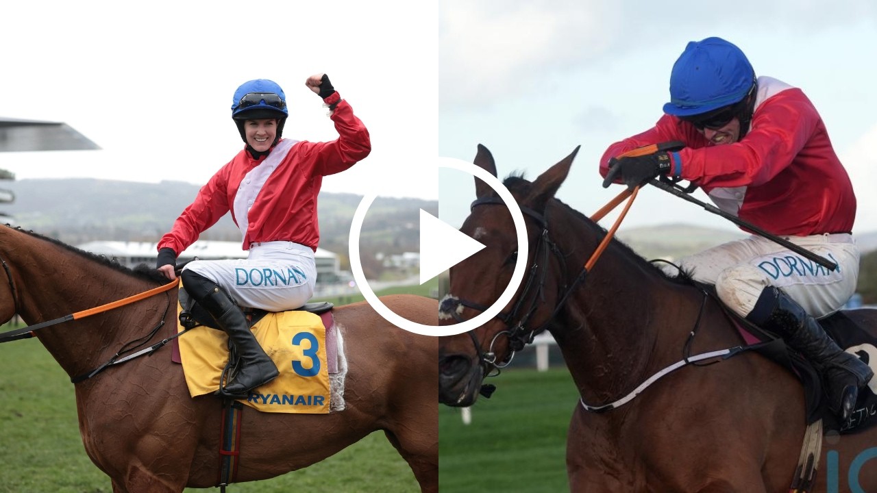 Envoi Allen dies after collapsing following Cheltenham Gold Cup